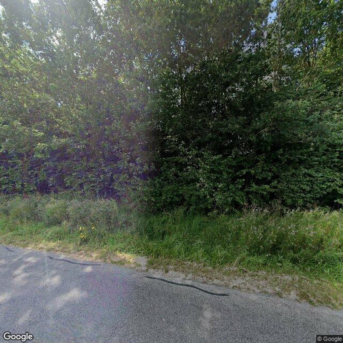 Andelsboligforeningen Ladegård, andelsboligforening i Haderslev
