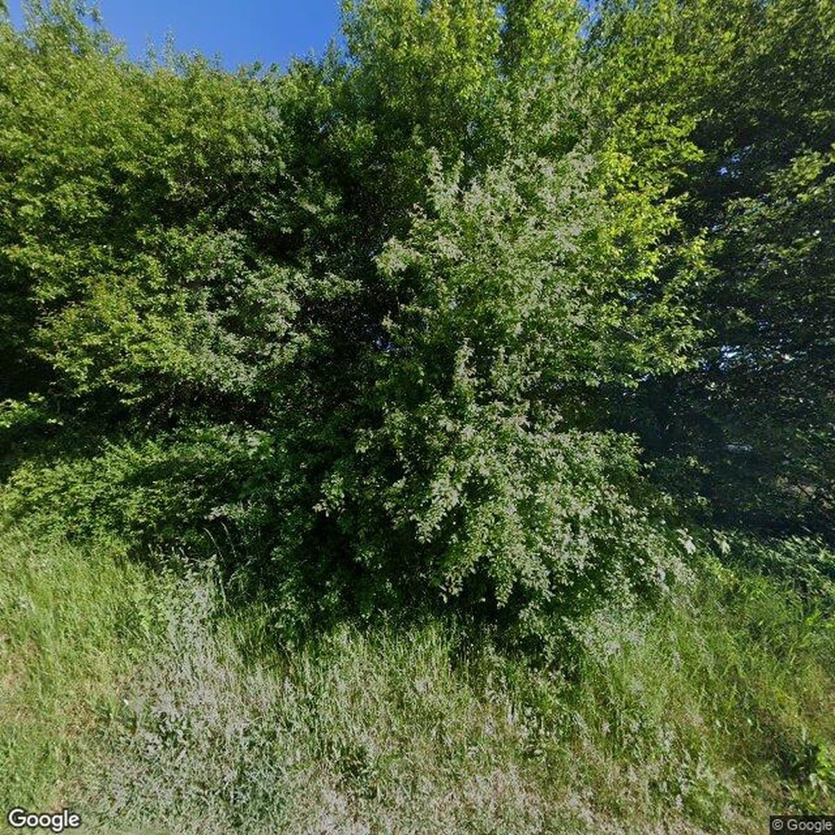 A/B Klovborg, andelsboligforening i Klovborg