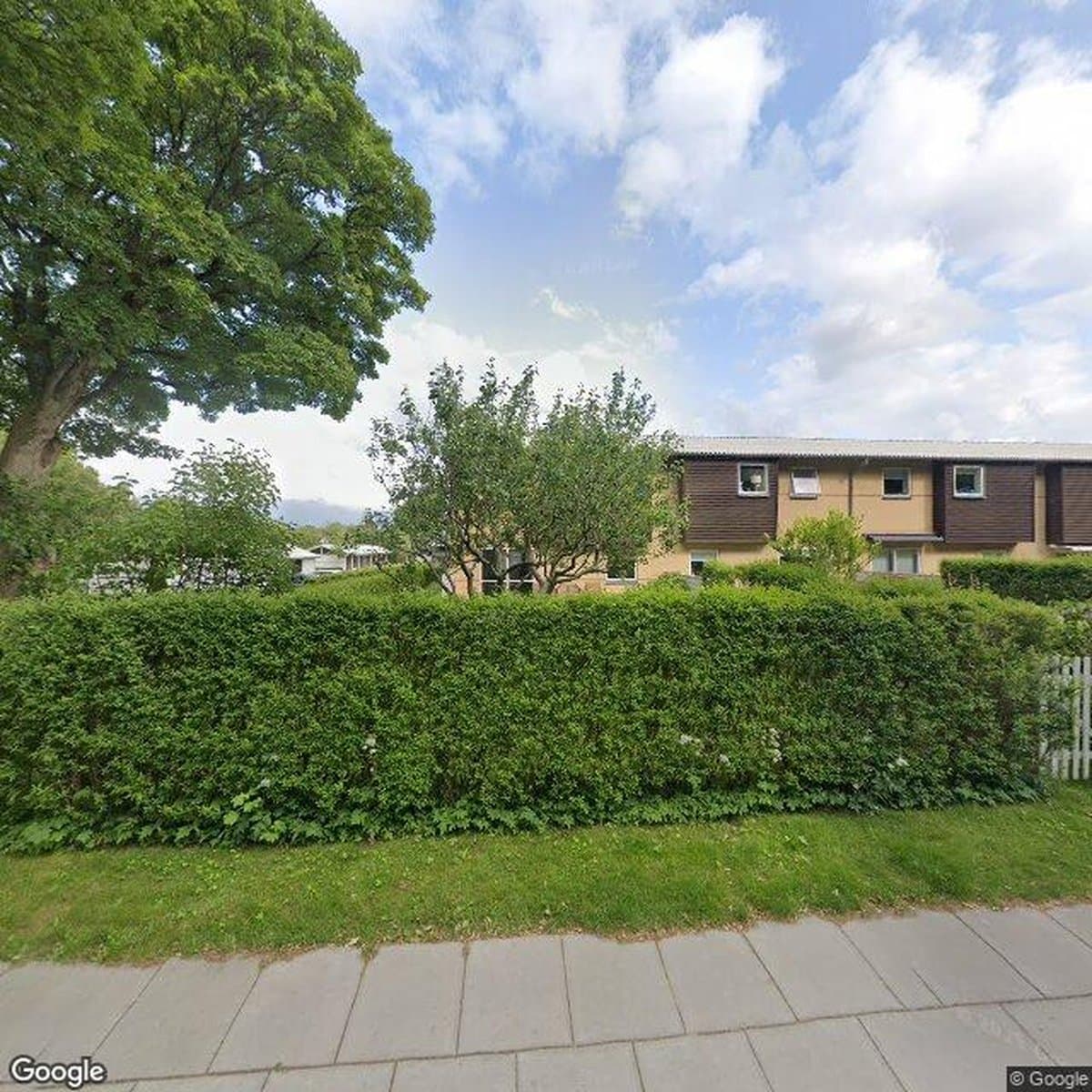 Andelsboligforeningen Lupinen, andelsboligforening i Herning