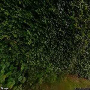 Photo of Andelsforeningen