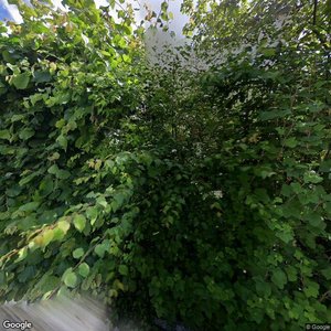 Photo of Andelselskabet Herluf Trolles Gade 10