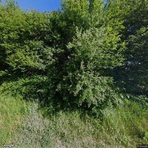 Photo of A/B Klovborg